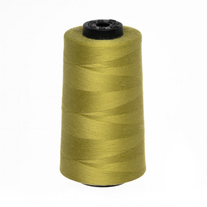 Sewing thread, 100% polyester, N120, 5000m/cone, (1666) light green